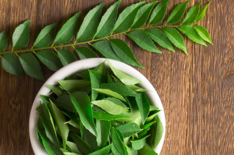 que-sont-les-feuilles-de-curry-kaloupil-pices-review