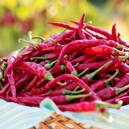 Par quoi remplacer le poivre du Sichuan ? Épices Review