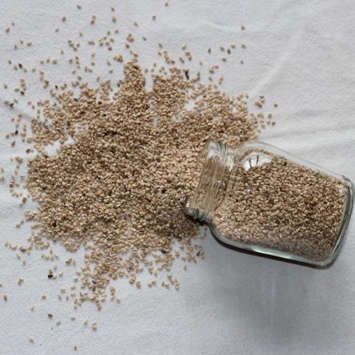 Par quoi remplacer le miso ? Épices Review