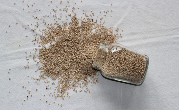 Par quoi remplacer les graines de lin