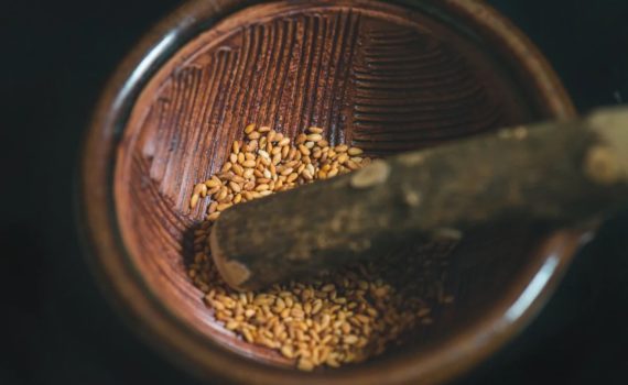 Par quoi remplacer les graines de sésame ?