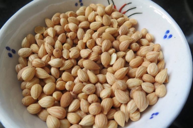 Par quoi remplacer le lait de coco ? - Épices Review