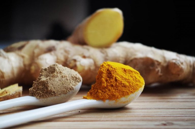 Curcuma vs. Gingembre Épices Review Curcuma vs. Gingembre Épices Review