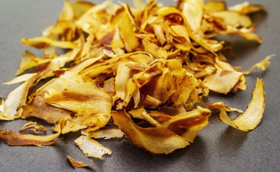 Par quoi remplacer les copeaux de bonite ?