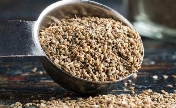 Que sont les graines de céleri ?