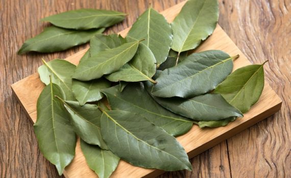 Comment cuisiner avec des feuilles de laurier ?