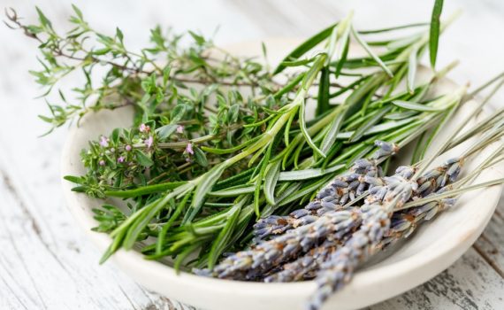 Comment cuisiner avec les herbes de Provence ?