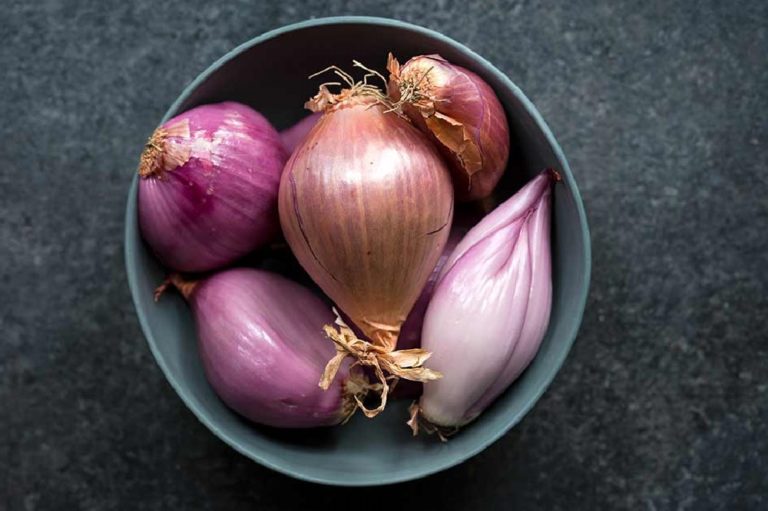 Par quoi remplacer les échalotes ? Épices Review