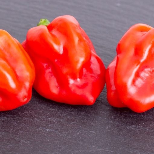 Par quoi remplacer la sauce chili ? Épices Review