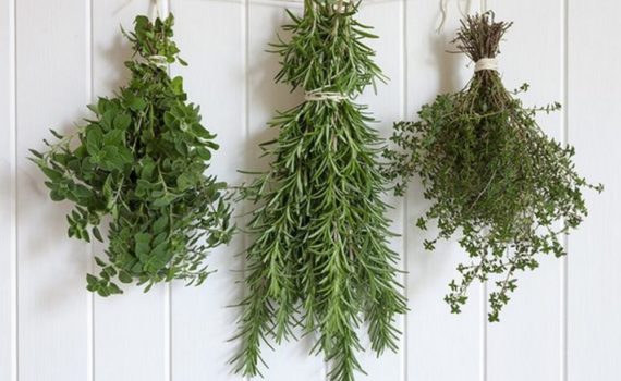 Comment faire sécher des herbes ?