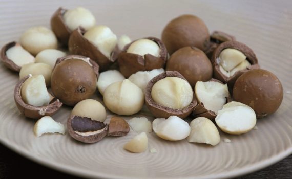 Par quoi remplacer les noix de macadamia ?