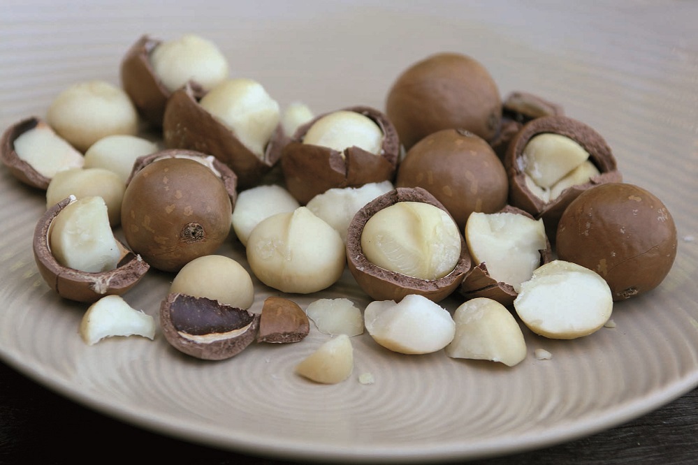 Par quoi remplacer les noix de macadamia ?