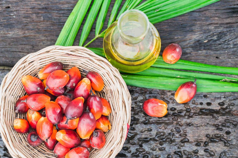Qu'est-ce que l'huile de palme ?