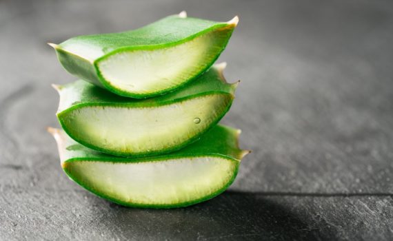 Comment faire de l'huile d'aloe vera ?