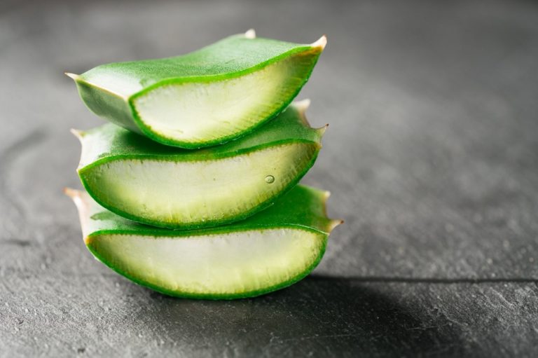 Comment faire de l'huile d'aloe vera ? - Épices Review