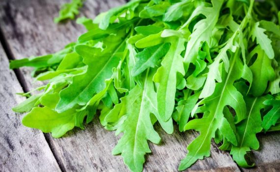 Comment faire de l'huile de roquette ?