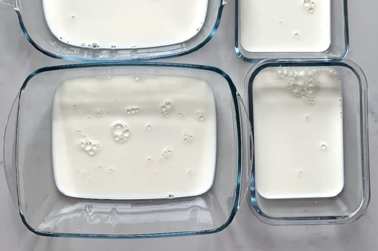 Comment faire du lait en poudre ? - Épices Review