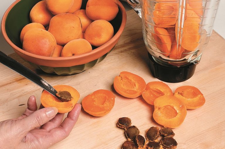 Comment faire du sirop d'abricot ? Épices Review